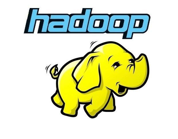 Why All the Fuss about Hadoop?