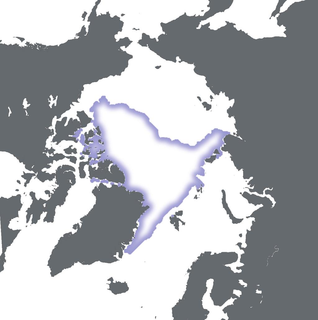 Evolution of sea ice surface area on the Arctic