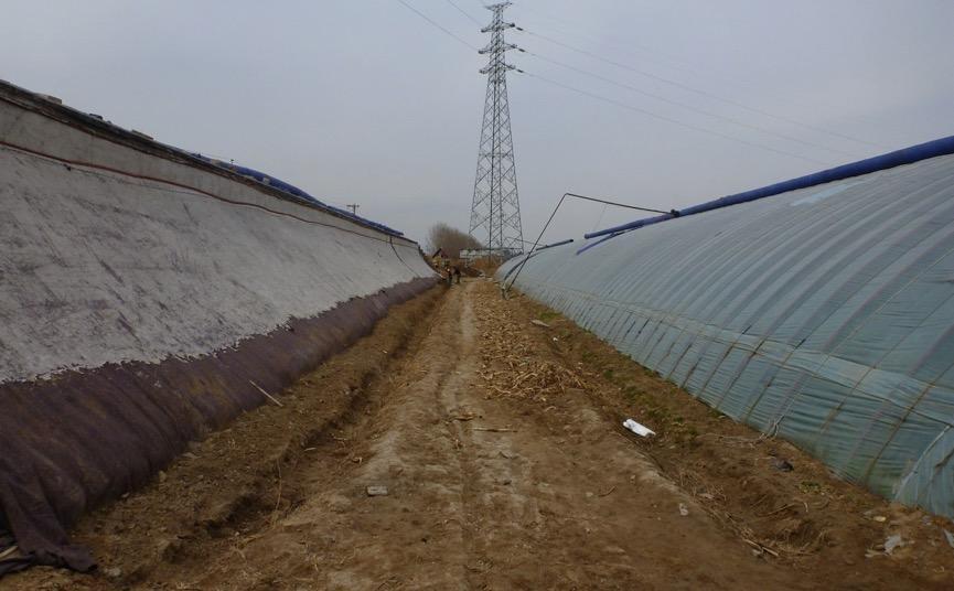 Greenhouses for application of biogas for heating