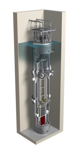 What is a NuScale Power Module? A NuScale Power Module (NPM) includes the reactor vessel, steam generators, pressurizer, and containment in an integral package.