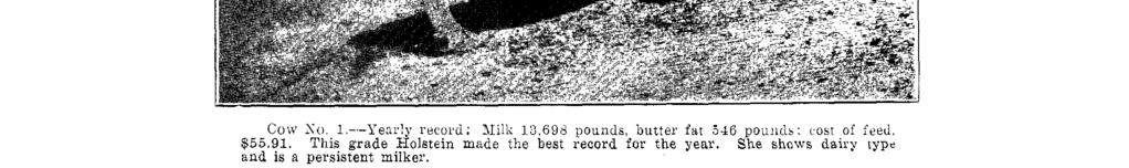 However, it should be borne in mind that the prices used in calculating the cost of feeds were farm values, and the majority of the poor cows calved in the spring and produced milk only while