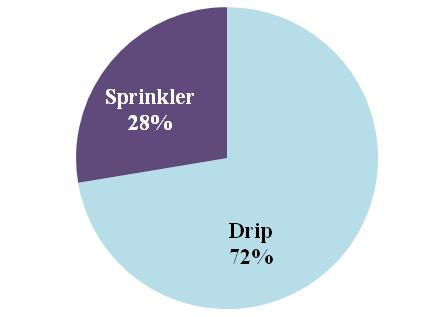 Figure 22: Share of area under drip and sprinkler irrigation in Maharashtra (%) Source: Based on data