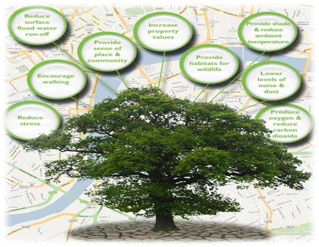 What are the benefits? There are significant benefits to encouraging green infrastructure growth in our cities beyond just economical enrichment.