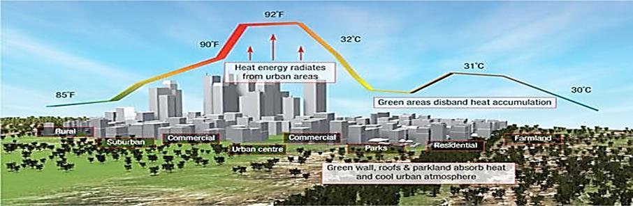 Environmental Benefits: Environmental Reducing the Heat Island Effect Trees and vegetation lower surface and air temperatures by providing shade and through evapotranspiration.