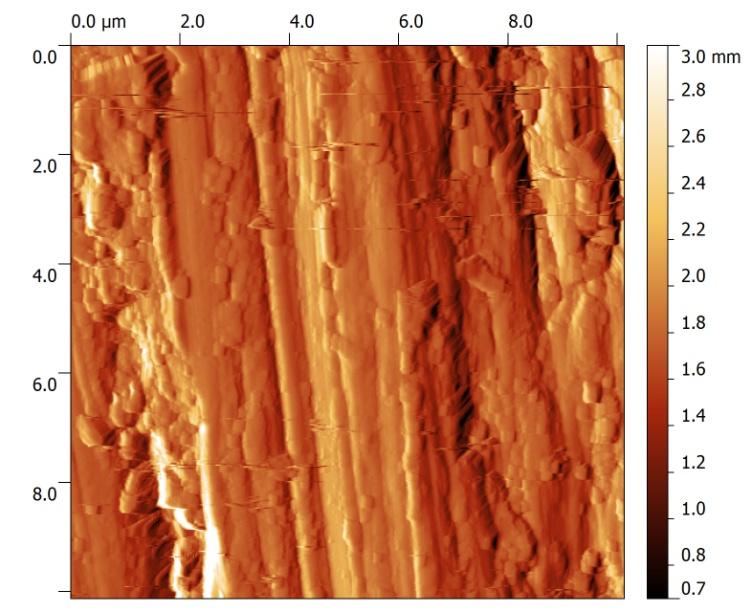 2 000 nm 200 nm Figure S11. AFM images of the untreated AISI 304 steel sample.