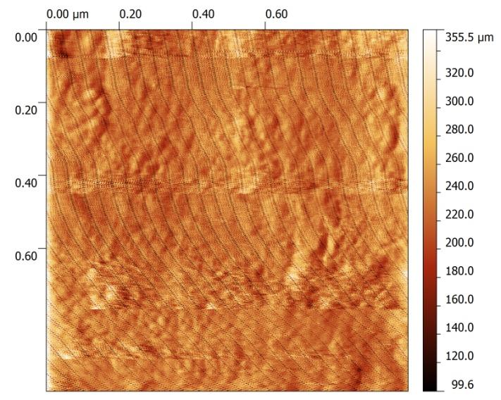 AFM microscopy measurements were performed in