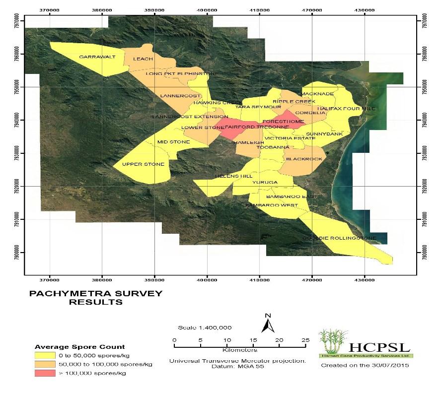 Figure 10: Pachymetra survey results in the 26 productivity zone in the Herbert conducted during 2014-2015 The survey found that the previous variety grown on a block had a significant effect on