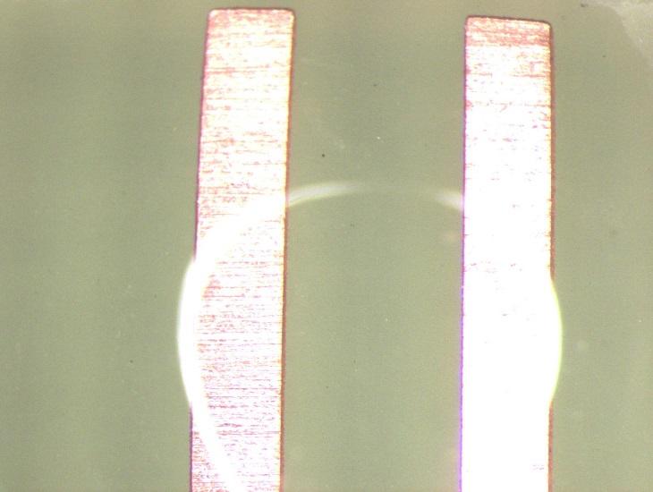 Images of a dendrite growth with a 13 volt bias