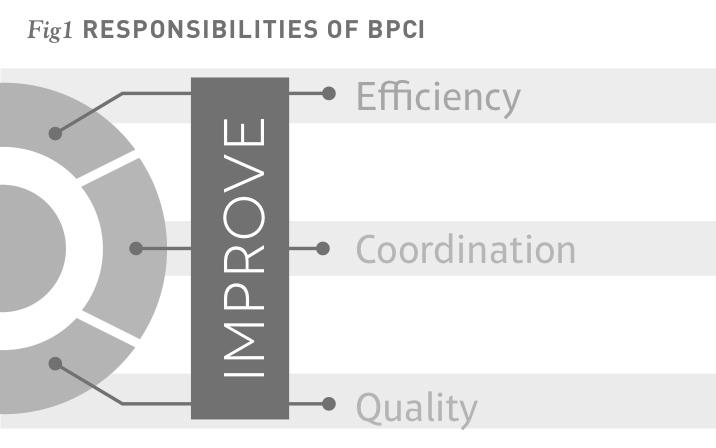 Since that time, BPCI has admitted more than 6,600 healthcare organizations to one of its four models of this voluntary initiative.