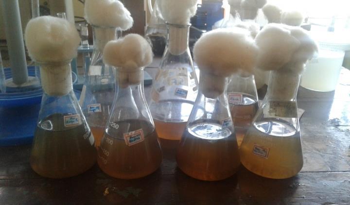 Collected sample were taken in conical flasks and analysed.then it was supplemented with s to improve the efficiency of the microorganisms.