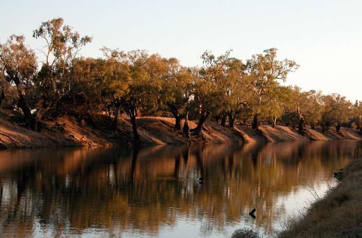Water Availability in the Barwon-Darling