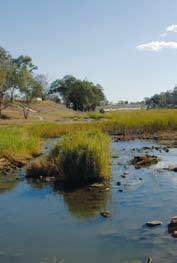 Key findings Average surface water availability for the Darling Basin (assessed at Bourke) under the historical climate is 3515 GL/year.