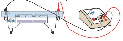B) Carry out electrophoresis 1.b) After the samples have been loaded, place the electrophoresis apparatus cover on the electrode terminals carefully. 2.