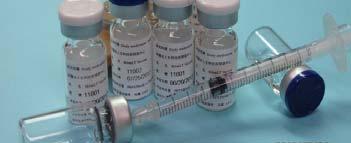 Protein Drug / Vaccine Platform Vaccine Development with Novel Adjuvant (LT) LT-Hib: Haemophilus Influenzae Type B(Hib)V