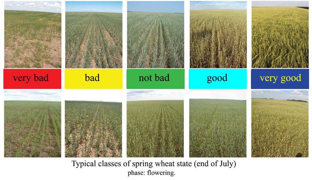 5 Classes of Crop State: Spring