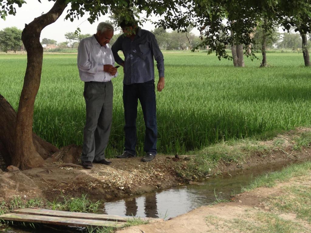 Modernizing Crop Reporting Systems Collect data digitally in 1240 villages of Punjab.