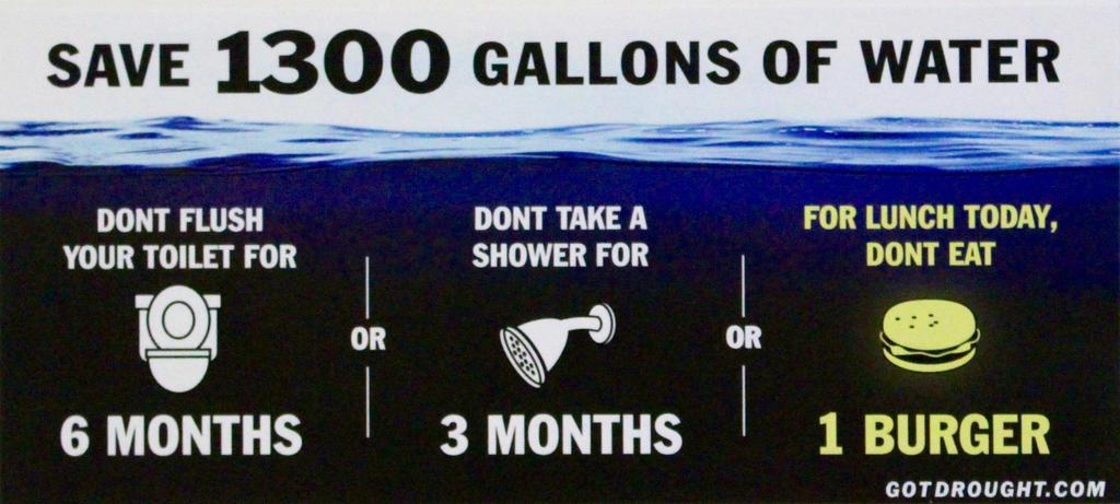 Water use