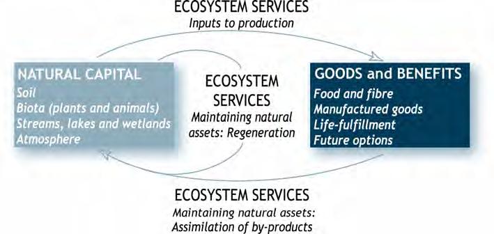 Ecosystem Goods and Services What are ecosystem goods and services?