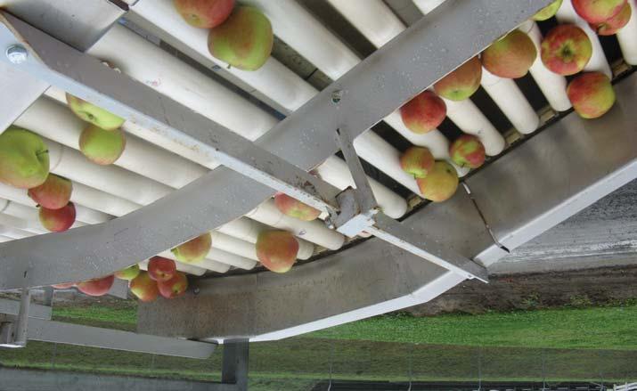 Apple conveyor used for