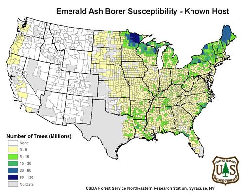 Current practice for EAB: Locate, cut and dispose of every