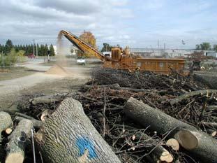 Photos from Michigan Site level biomass opportunities: All
