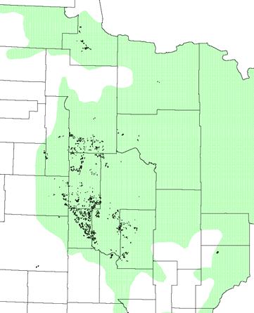 budworm Native defoliator 1,200,000 1,000,000