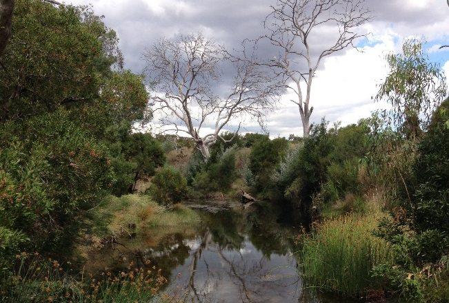 1,2 1, 8 Regional rainfall mm 6 4 2 Merrimu Rosslynne Lancefield Woodend 215/16 216/17 Annual Mean Figure 1: Annual rainfall in the Western Water region. 1.1.3 Stream flows Stream flows in 216/17 were above average for all systems in the Western Water region.