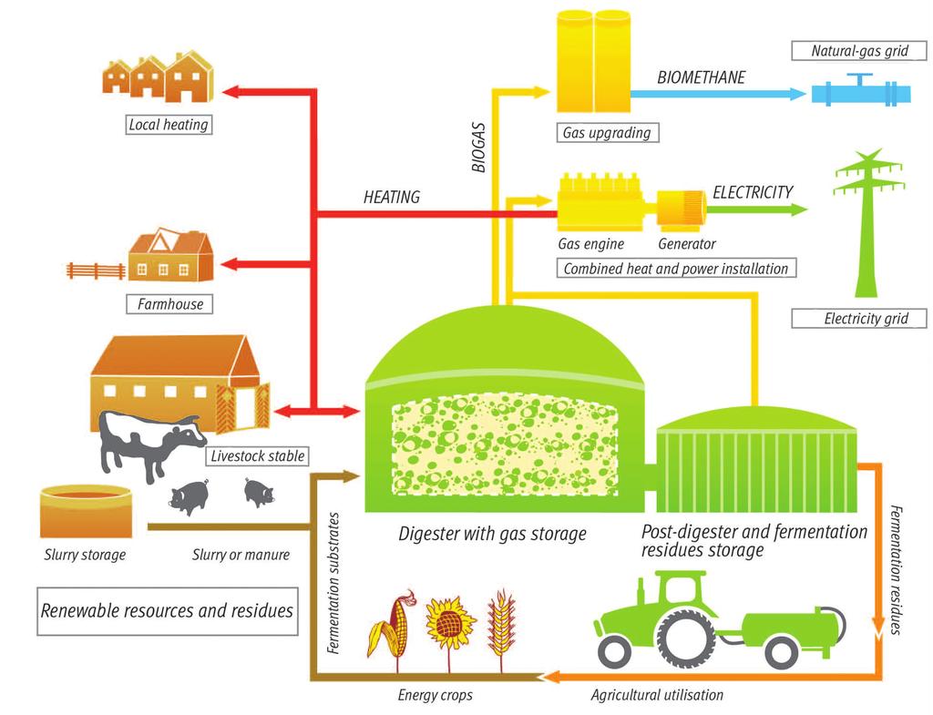 Figure 2. On-Farm Anaerobic Digester Model (Source: FNR, German Biogas Association) 12 biogas derived from AD, where both sites are physically separated, if that biogas is injected into the gas grid.