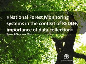 National Forest Monitoring Systems in the Context of REDD+: Important of Data Collection DAY1 National Forest Monitoring Systems in the Context of REDD+: Important of Data Collection My presentation