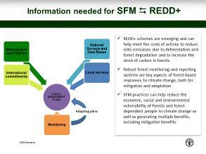 National Forest Monitoring Systems in the Context of REDD+: Important of Data Collection DAY1 management.