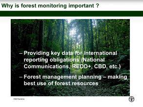 DAY1 Why is forest monitoring important?