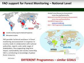 Now, in the last seven years, REDD+ has been playing a major role on forest monitoring evolving needs. Who knows what is coming in the future, but we will probably invent another label.