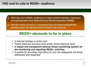 National Forest Monitoring Systems in the Context of REDD+: Important of Data Collection DAY1 information from the correspondents and put that into a database and provide this every 10 years, but at