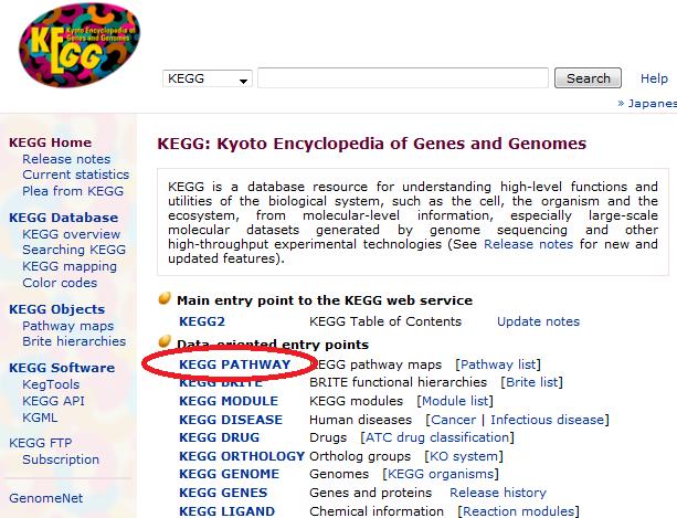 2. Click on the KEGG PATHWAY 3. You can now see a list of KEGG s pathways organized in a hierarchical manner.