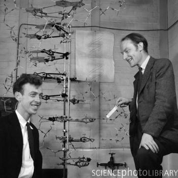 Watson-Crick Model Deduced structure by synthesizing data from other work on DNA