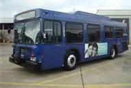 MetroExpress - Long haul, limited service buses on major