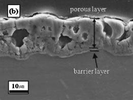 It was considered that fluorine ion in the electrolyte played an important role in the formation of barrier layer during the initial stage of PEO process.