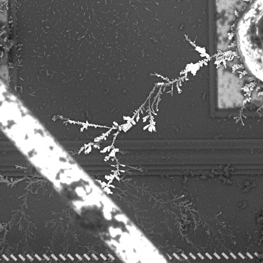 Dendritic Growth on IC Die or most of the same reasons as bond pad corrosion -
