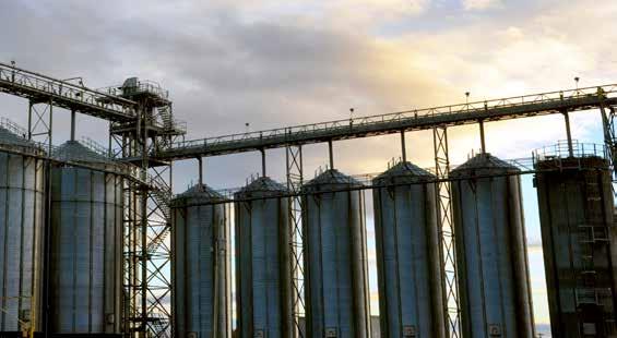 DRYING, STORAGE & HANDLING Listed on the following pages are the recommendations from Grain Millers for the safe and effective storage of corn on-farm, in order to preserve grade, prevent damage from