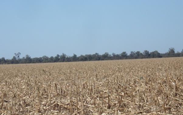 35,000 heads in 44,000 ha Land Price: