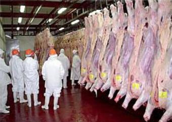 Investment in Carnes Pampeanas Meatpacking Facility Brief description of the company Carnes Pampeanas is a beef processing company - staffed by a highly