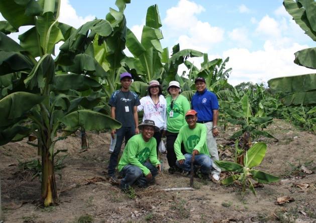 Lapanday Fruits Corp The Philippines initiative Adapting