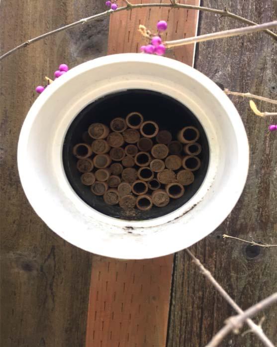 Mason bee house Mount your house on wall