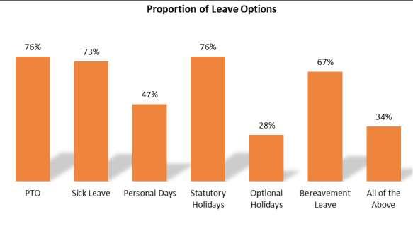The majority of fleet directors, managers, supervisors, and professionals reported receiving paid time off, statutory holidays, and sick leave as part of their leave options.