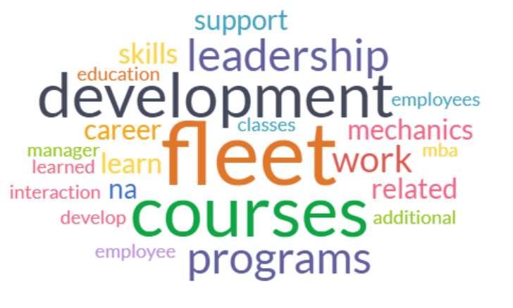 The types of programs and courses fleet respondents wished were provided by their companies fell into several categories 8 : Skill trainings Fleet respondents reported wanting training to keep up