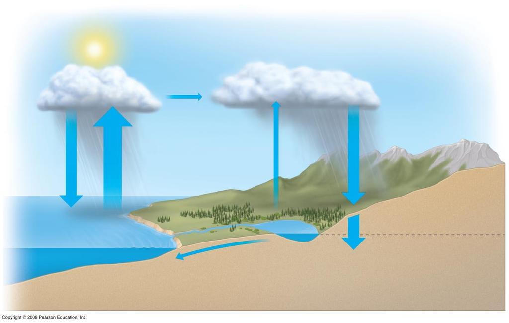 Solar heat Water vapor over the sea Net movement of water vapor by wind Water vapor over the land Precipitation over the sea Evaporation