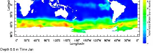 of seasonal nitrate  What limits the accumulation of phytoplankton in large regions of the oceans?