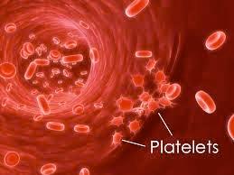 WHAT IS A PLATELET Formed in bone marrow and circulate in the blood Contain tiny encapsulated structures called