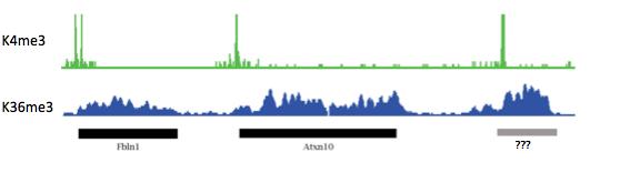 Peak characteristics differ with signal H3K4me3: Sharp
