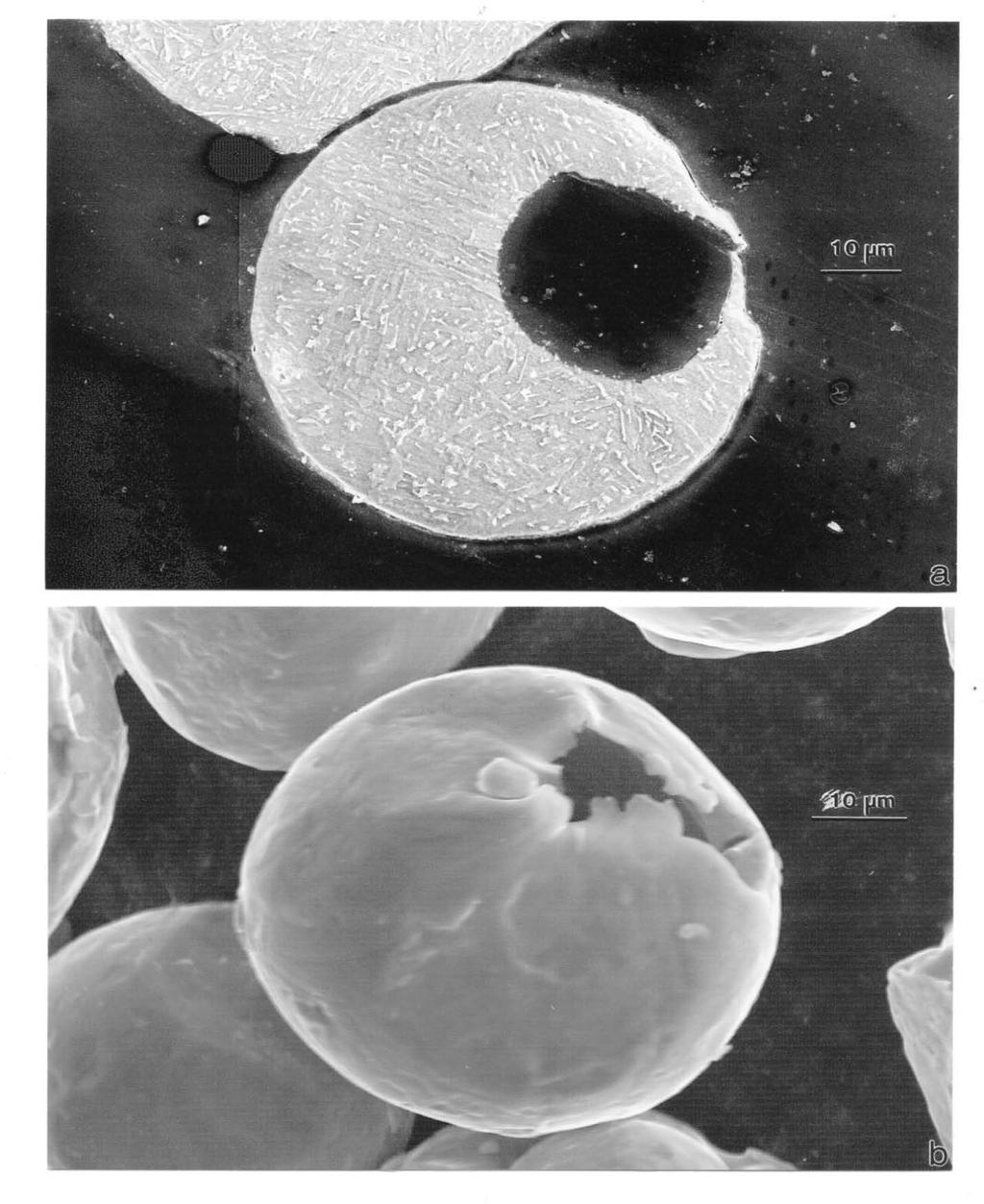 Figure 6. Gas bubbles in Ti-6Al-4V powders (typical for precursor/starting powder and recycled powder).